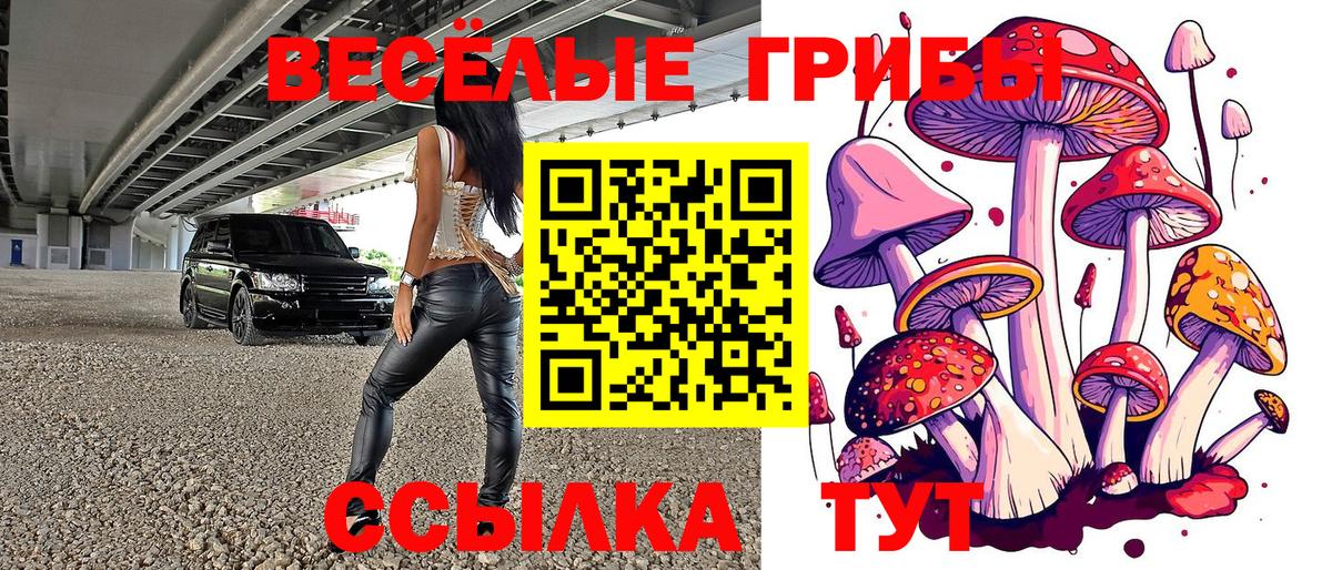 Псилоцибиновые грибы GOLDEN TEACHER  цена наркотик  Вход с VPN  Аша  Псилоцибиновые грибы Psilocybine cubensis 