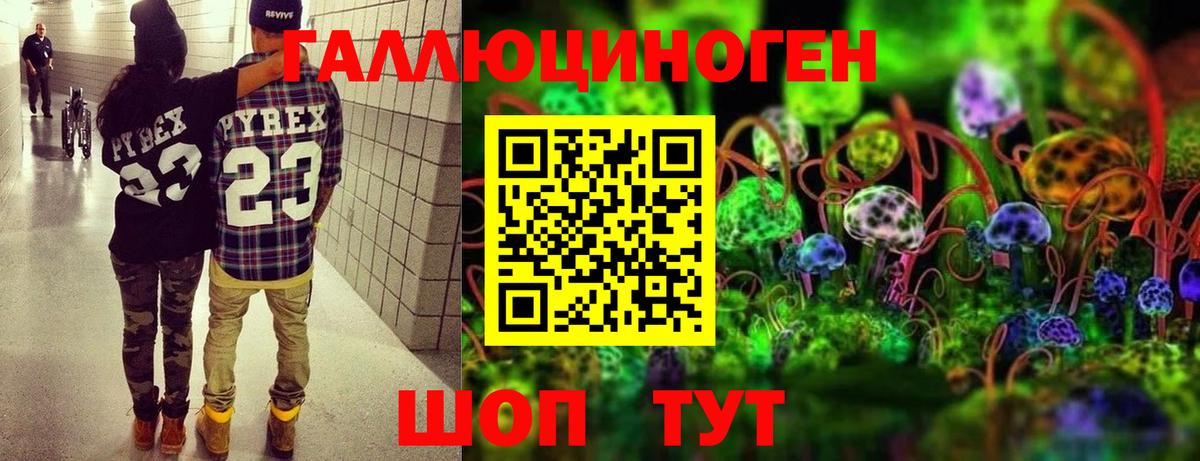 Галлюциногенные грибы мицелий  Галлюциногенные грибы мицелий  сколько стоит  Аша 