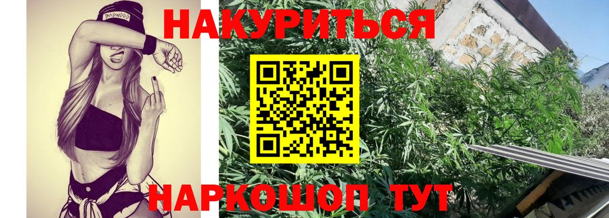 МАРИХУАНА сатива Аша